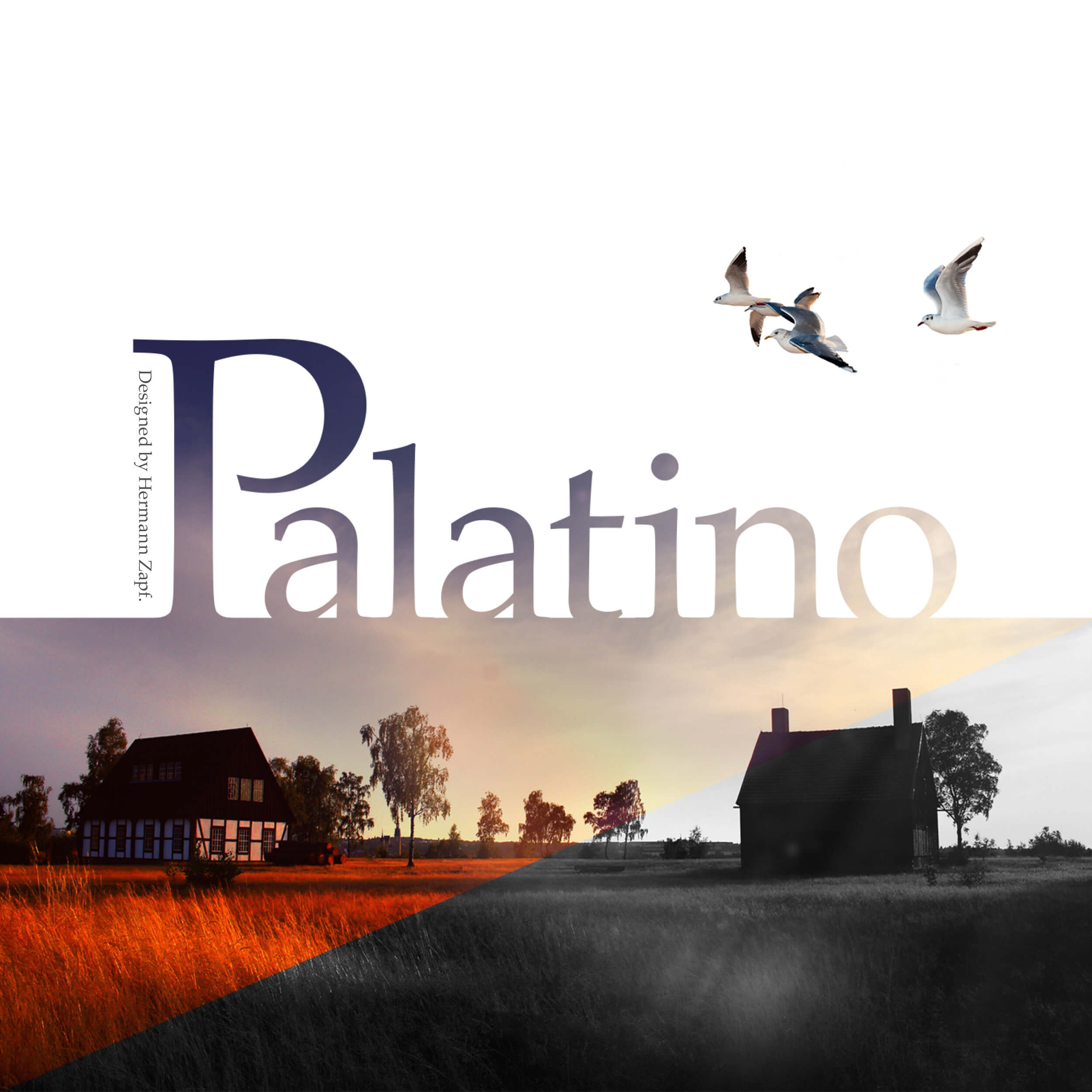 Palatino